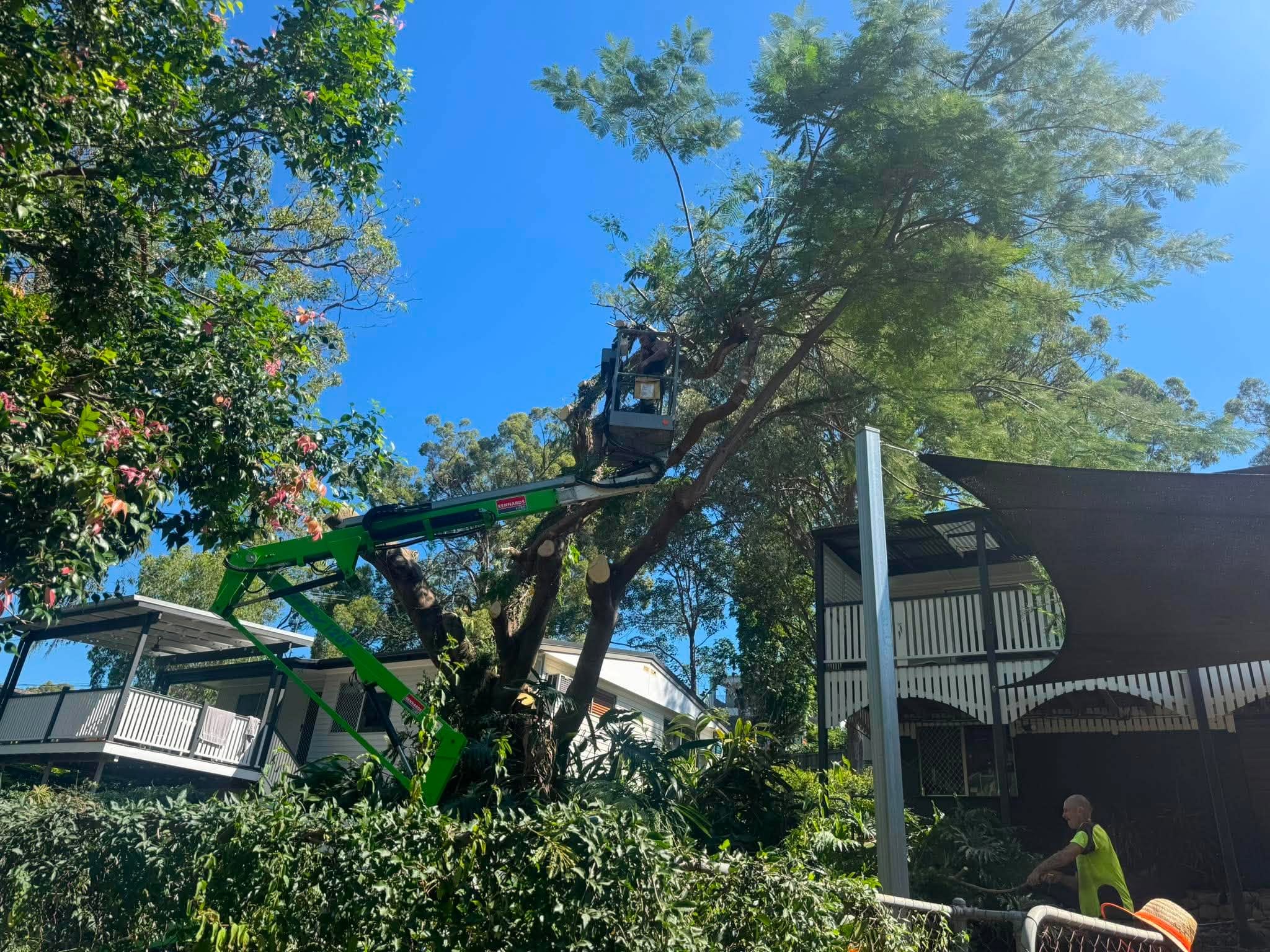 Arborist working from a cherry picker removing a tree against a clear blue Brisbane sky
